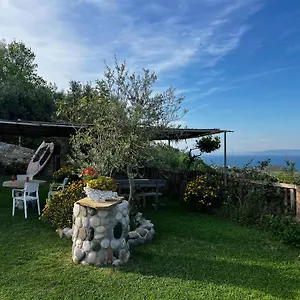 Restorant Olti Shetaj